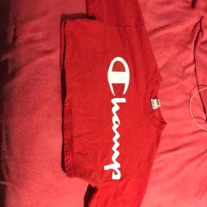 A champion sweater crop top